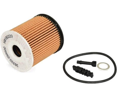 OE 263002M000 filtro per olio per MAN HYUNDAI BEIJING KIA 2019- da in Neutro pacchetto